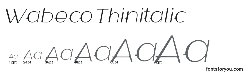 Размеры шрифта Wabeco Thinitalic