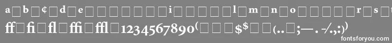 AtlantixProBlackSsiBold Font – White Fonts on Gray Background