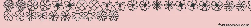 SecondFlowersSt Font – Black Fonts on Pink Background