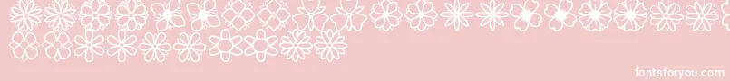 SecondFlowersSt Font – White Fonts on Pink Background