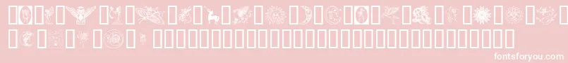 Thegoddess Font – White Fonts on Pink Background