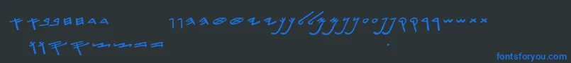 フォントSiloamHebrew – 黒い背景に青い文字