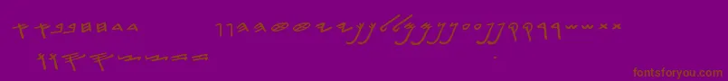 SiloamHebrew Font – Brown Fonts on Purple Background