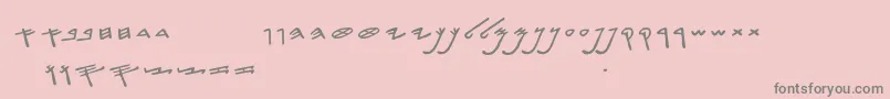 SiloamHebrew Font – Gray Fonts on Pink Background