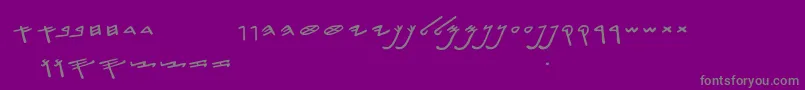 SiloamHebrew Font – Gray Fonts on Purple Background