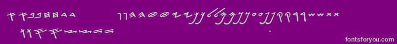 SiloamHebrew Font – Green Fonts on Purple Background
