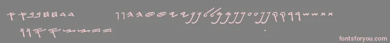 SiloamHebrew Font – Pink Fonts on Gray Background