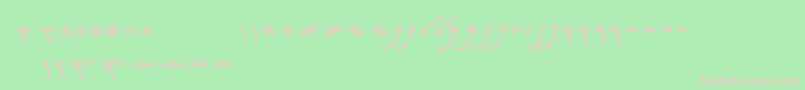 フォントSiloamHebrew – 緑の背景にピンクのフォント