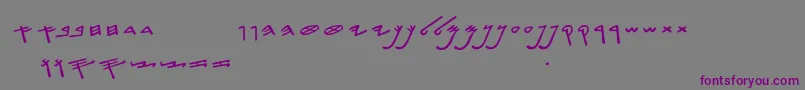 SiloamHebrew Font – Purple Fonts on Gray Background