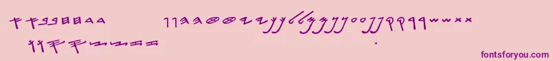 SiloamHebrew Font – Purple Fonts on Pink Background