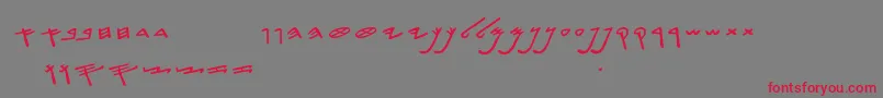 SiloamHebrew Font – Red Fonts on Gray Background
