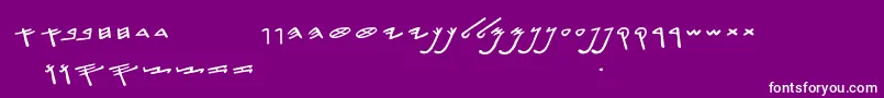 フォントSiloamHebrew – 紫の背景に白い文字