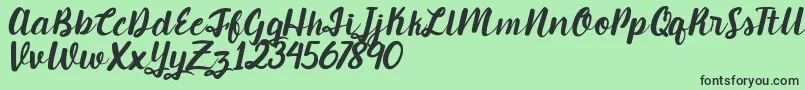 Candlelight Font – Black Fonts on Green Background