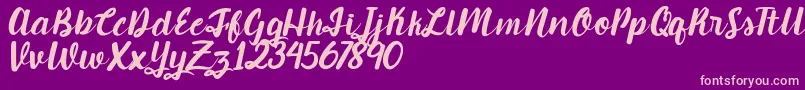 Candlelight Font – Pink Fonts on Purple Background