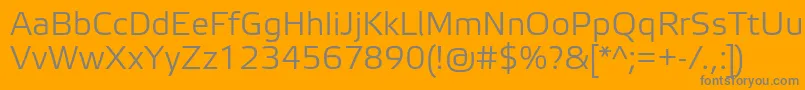 ElektraLightPro Font – Gray Fonts on Orange Background