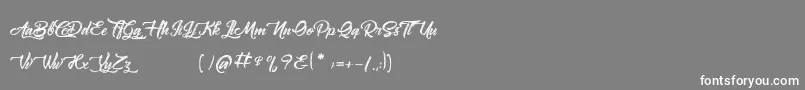 Amontillado Font – White Fonts on Gray Background