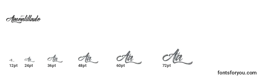 Размеры шрифта Amontillado