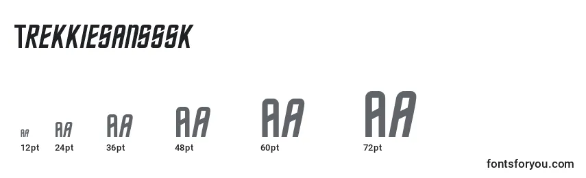 Trekkiesansssk Font Sizes