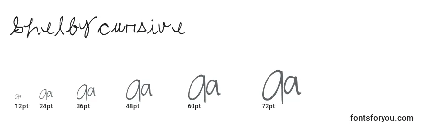 Shelbycursive Font Sizes