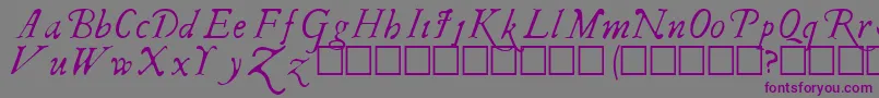 IRegular Font – Purple Fonts on Gray Background