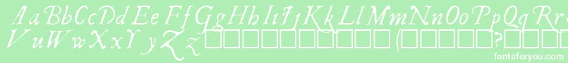 IRegular Font – White Fonts on Green Background