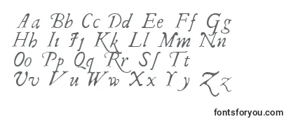 IRegular Font