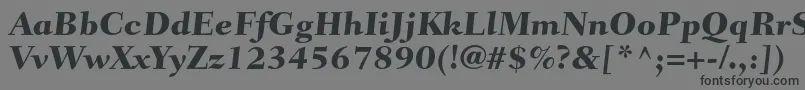 フォントFairfieldltstdCaptionheavy – 黒い文字の灰色の背景