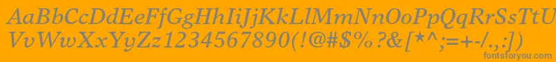 TimeseuropaltstdItalic Font – Gray Fonts on Orange Background