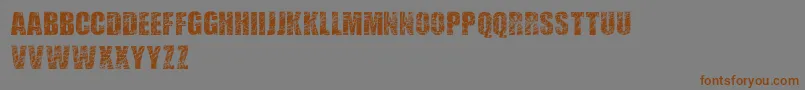 Fonte ScratchedLetters – fontes marrons em um fundo cinza