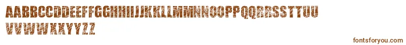 ScratchedLetters Font – Brown Fonts