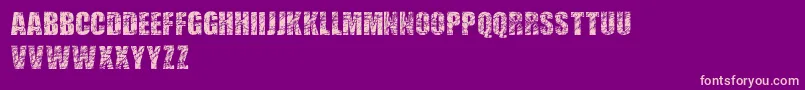 ScratchedLetters Font – Pink Fonts on Purple Background