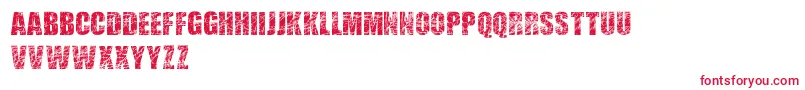 ScratchedLetters Font – Red Fonts on White Background