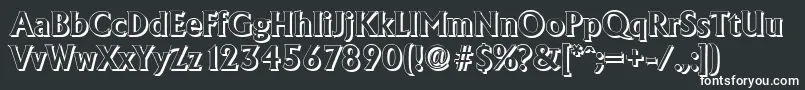 AdelonshadowBold Font – White Fonts on Black Background