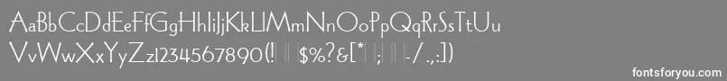WadeSansLightPlain Font – White Fonts on Gray Background