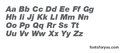 HelveticaLt96BlackItalic Font