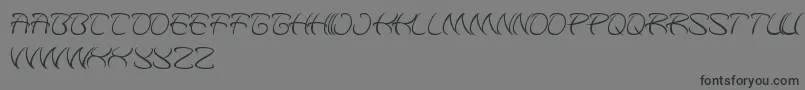 KungfuMaster Font – Black Fonts on Gray Background