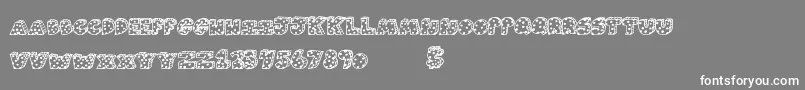 Agendaclash Font – White Fonts on Gray Background