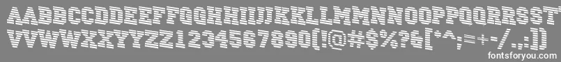 ACampusmarinedn Font – White Fonts on Gray Background