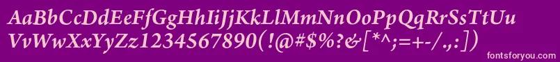 ArnoproSemibolditalic10pt Font – Pink Fonts on Purple Background