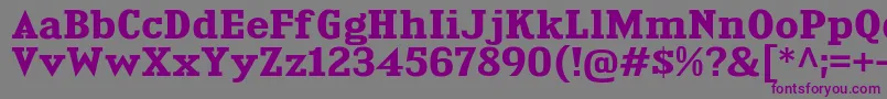 Шрифт KingsbridgeExBd – фиолетовые шрифты на сером фоне