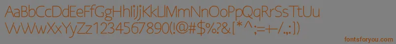 OsgoodsansRegular Font – Brown Fonts on Gray Background