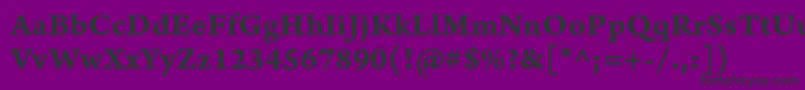 ArnoproBoldcaption Font – Black Fonts on Purple Background