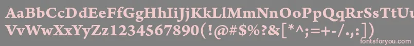 ArnoproBoldcaption Font – Pink Fonts on Gray Background