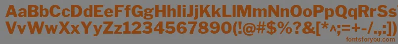 LibrefranklinExtrabold Font – Brown Fonts on Gray Background