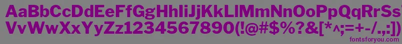フォントLibrefranklinExtrabold – 紫色のフォント、灰色の背景