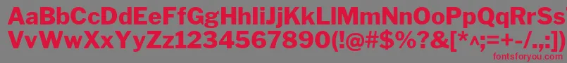 LibrefranklinExtrabold Font – Red Fonts on Gray Background