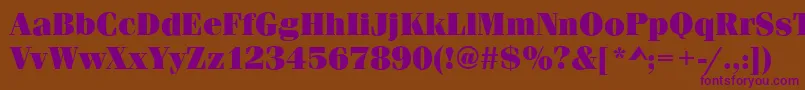 FerraraUltraRegular Font – Purple Fonts on Brown Background
