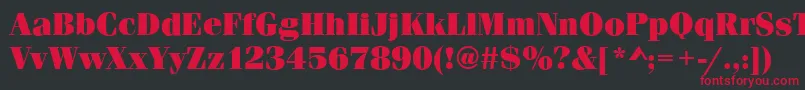 フォントFerraraUltraRegular – 黒い背景に赤い文字