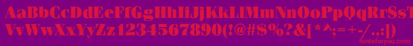 FerraraUltraRegular Font – Red Fonts on Purple Background
