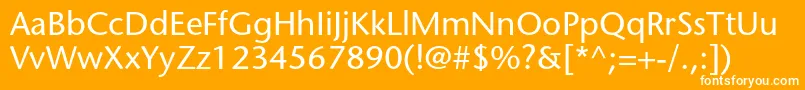 StonesansstdMedium Font – White Fonts on Orange Background